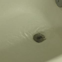 Red Lion Hotel Grants - Tubs are sketchy but we showered anyway :) There was hair in our tub along the sides.