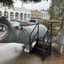 Henrietta the Hippo
