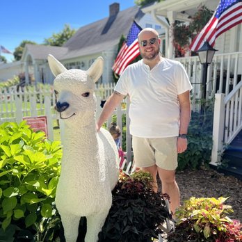 Alpaca To Apparel - Husband with the alpaca statue - Farmers Market Near Me - Fish Creek, Wisconsin Alpaca To Apparel - Husband with the alpaca statue - Farmers Market Near Me - Fish Creek, Wisconsin