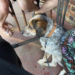The Hound's Tale Corner BARkery - Spacious dog-friendly outdoor patio