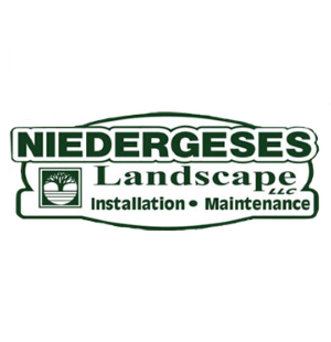 Slide of Niedergeses Landscape
