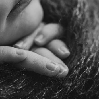 Junebug Photography - Session Photography Near Me
