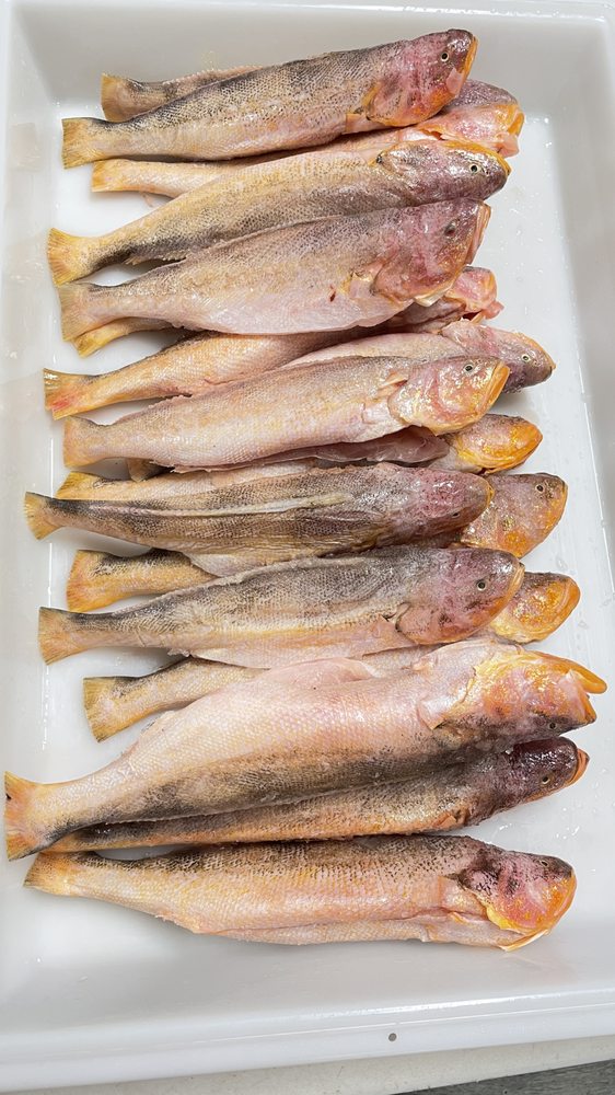 AKWAABA MEAT AND FISH MARKET Updated August 2024 13 Photos 507 Bloomfield Ave, Newark, New