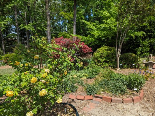 Wilson Botanical Gardens by null