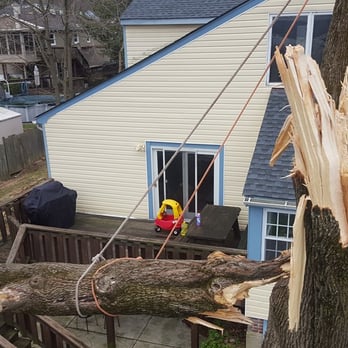 H N Tree Care - Storm Damage in Budd Lake - Tree Services Near Me - Landing, New Jersey H N Tree Care - Storm Damage in Budd Lake - Tree Services Near Me - Landing, New Jersey