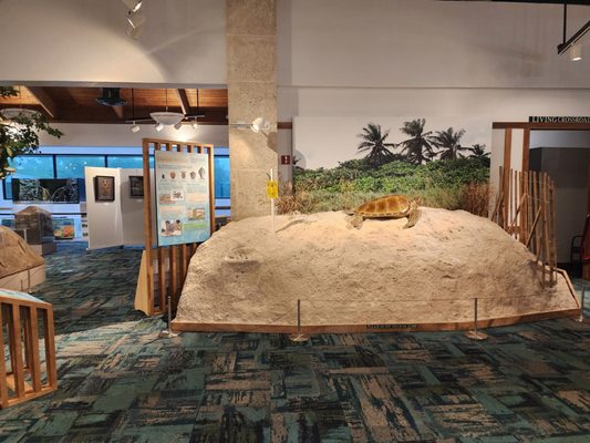 Anne Kolb Nature Center by null