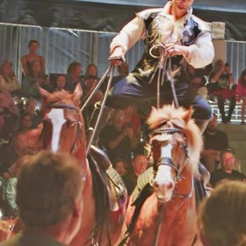 Cirque Ma'Ceo - Venues & Event Spaces Near Me - Lutz, Florida Cirque Ma'Ceo - Venues & Event Spaces Near Me - Lutz, Florida