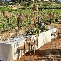 Gianelli Vineyards Tasting Room - Wedding in the vineyard.