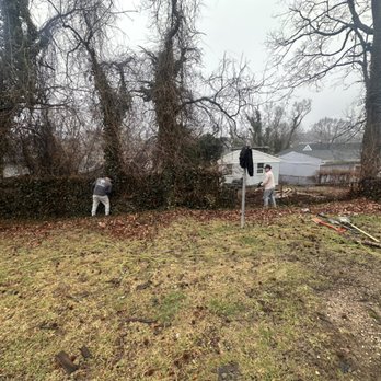 Green Landscaping - Vines Removal / fence cleanup - Landscaping Near Me Green Landscaping - Vines Removal / fence cleanup - Landscaping Near Me
