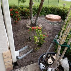Gardening Hands