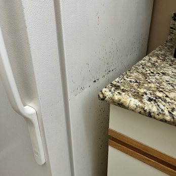Edgewater Beach & Golf Resort - Refrigerator - Hotels Near Me - Panama City Beach, Florida