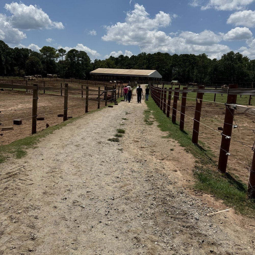 Southern Cross Ranch - Horseback Riding Near Me - Madison, Georgia Southern Cross Ranch - Horseback Riding Near Me - Madison, Georgia