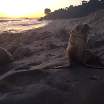 Leo Carrillo State Park - lol sup babe - Parks Near Me - Malibu, California