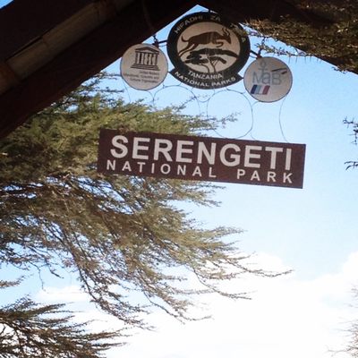 Thomson Safaris by null