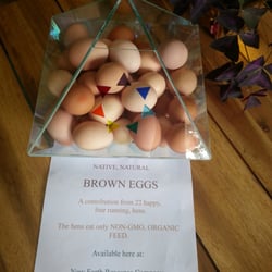 New Earth Resource Company - New Earth supplies non-GMO, fresh eggs exposed to pyramid energy.