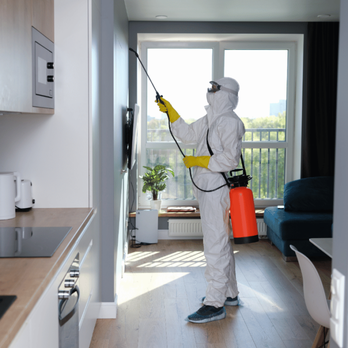 South Atlanta Insulation Experts - #InsulationMatters #SouthAtlantaExperts #PestFreeComfort #PestControl #AtlantaInsulation - Insulation Installation Near Me - McDonough, Georgia South Atlanta Insulation Experts - #InsulationMatters #SouthAtlantaExperts #PestFreeComfort #PestControl #AtlantaInsulation - Insulation Installation Near Me - McDonough, Georgia
