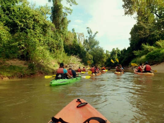 Bayou City Adventures by null