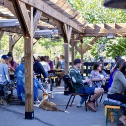 Alibi Ale Works - Truckee Public House - Heated outdoor seating in large beer garden