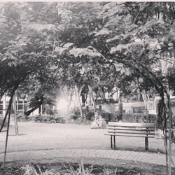 Universidade Católica de Pernambuco