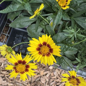 The Garden Gallery - Florists Near Me - Omaha, Nebraska The Garden Gallery - Florists Near Me - Omaha, Nebraska