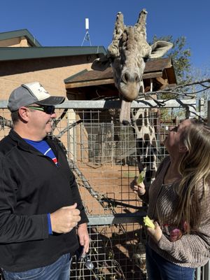 Cheyenne Mountain Zoo by null