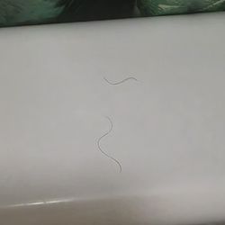 Western Motel - black hairs in and on bath tub