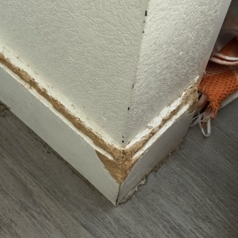 Bird's Home Services - Dog chewed up baseboard - Handyman Near Me - El Cajon, California