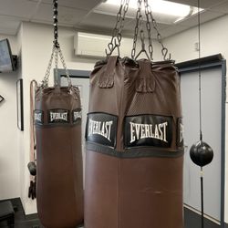 Northpaw Boxing