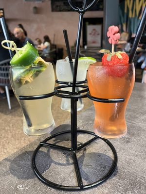 Agave Social by null