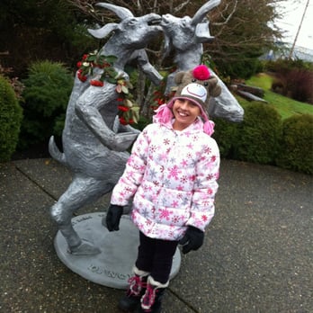Dancing Goats Coffee Tasting Room - The dancing goats just outside! - Coffee & Tea Near Me - Olympia, Washington Dancing Goats Coffee Tasting Room - The dancing goats just outside! - Coffee & Tea Near Me - Olympia, Washington
