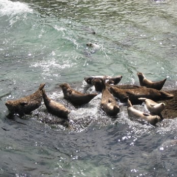 Children's Pool - 2008 - Beaches Near Me - La Jolla, California