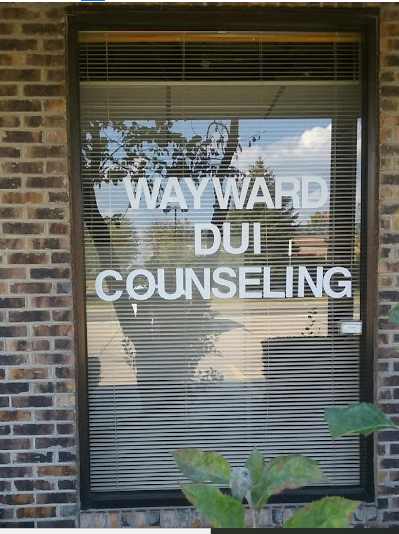 Wayward DUI Counseling - grief counselor in Algonquin, IL