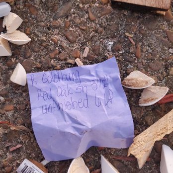 50Floor - Garbage left on my pathway - Flooring Near Me - Nashville, Tennessee