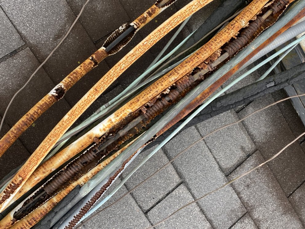 Pro-Tech Home And Commercial Building Inspections - mold inspector in Jacksonville, AR