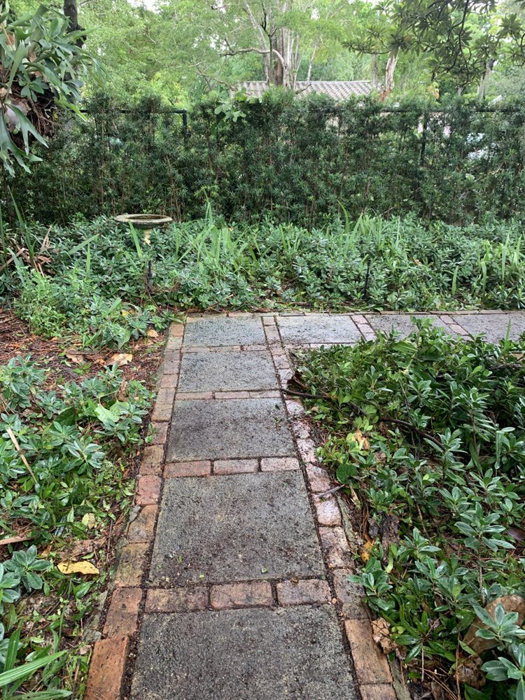 Javves Tree and Maintenance Services - tree service in Pembroke Pines, FL