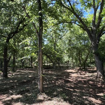Fassio Land Solutions - Selective Land Clearing, by way of Forestry Mulching utilizing a Bobcat T86 with Diamond Mowers drum mulcher. Norman, Oklahoma - Excavation Services Near Me Fassio Land Solutions - Selective Land Clearing, by way of Forestry Mulching utilizing a Bobcat T86 with Diamond Mowers drum mulcher. Norman, Oklahoma - Excavation Services Near Me