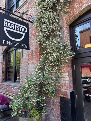 Barista by null