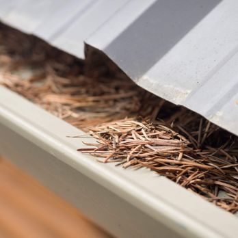 Next Level Gutters and Roofs - Gutter Services Near Me Next Level Gutters and Roofs - Gutter Services Near Me