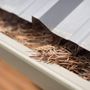 Photo of Next Level Gutters and Roofs