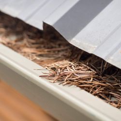 Next Level Gutters and Roofs