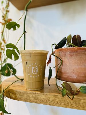 Thank You Coffee Anaheim by null