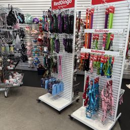 Great selection of leashes and collars