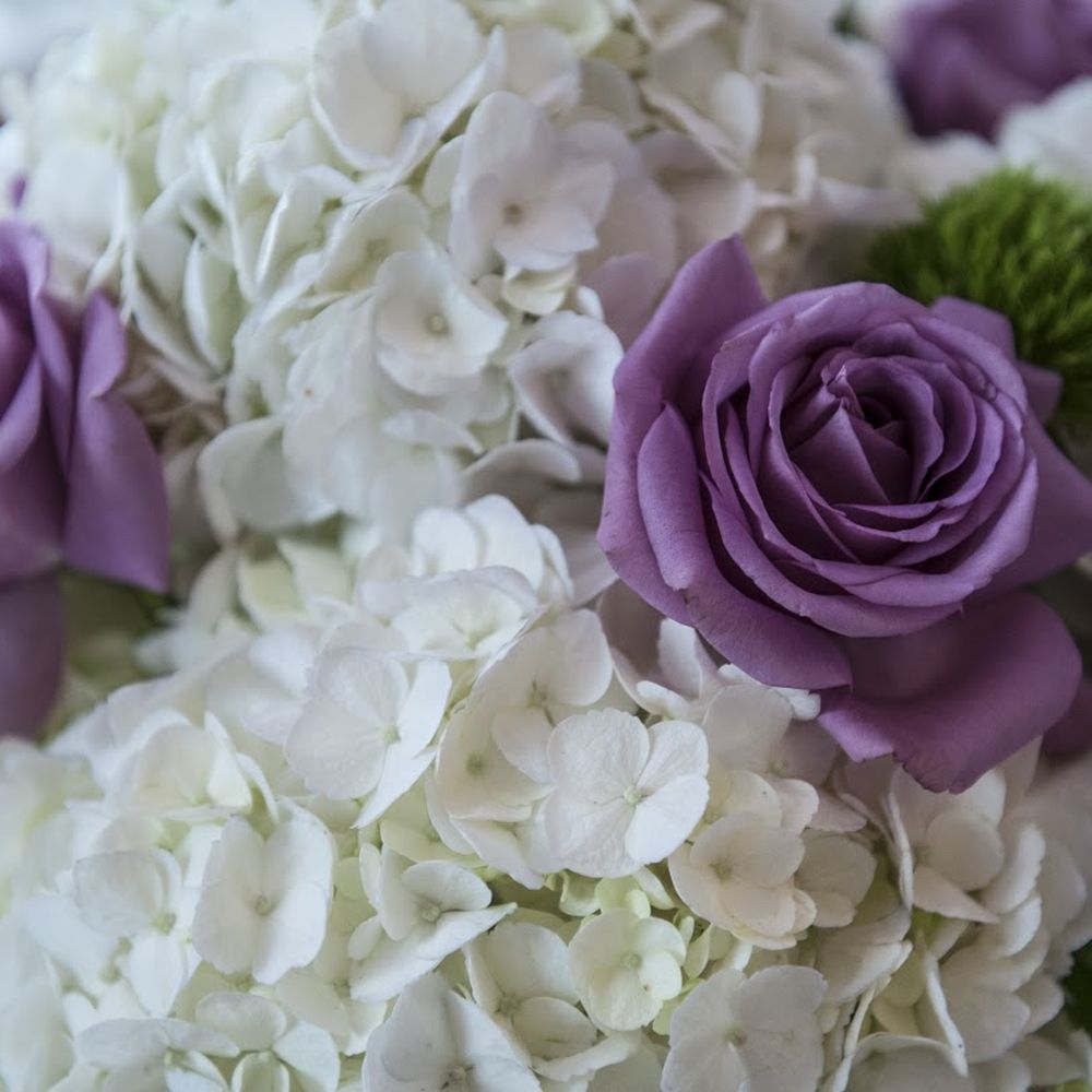 La Quick Flowers - Aleksandr Otrovskiy Photography - Florists Near Me - Los Angeles, California La Quick Flowers - Aleksandr Otrovskiy Photography - Florists Near Me - Los Angeles, California