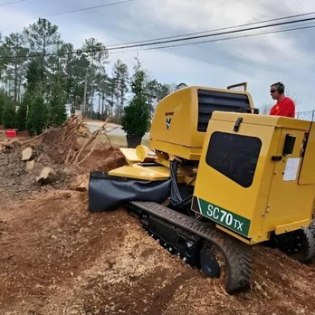 Aaa Pro Tree - Tree Services Near Me - Alpharetta, Georgia Aaa Pro Tree - Tree Services Near Me - Alpharetta, Georgia