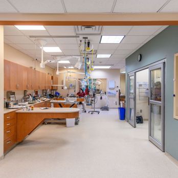Brookfield Animal Hospital - Treatment area - Veterinarians Near Me - Brookfield, Connecticut Brookfield Animal Hospital - Treatment area - Veterinarians Near Me - Brookfield, Connecticut
