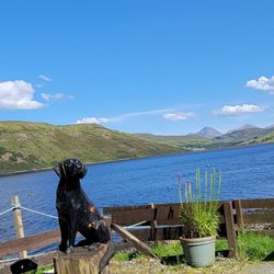 The Old Inn - Outdoor patio view