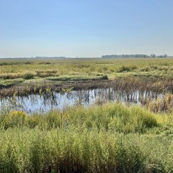 Cheyenne Bottoms Refuge - Wetlands