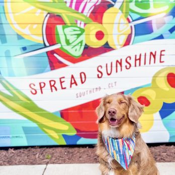 Ruby Sunshine Charlotte Southend - Cute photo op - Breakfast & Brunch Near Me - Charlotte, North Carolina Ruby Sunshine Charlotte Southend - Cute photo op - Breakfast & Brunch Near Me - Charlotte, North Carolina