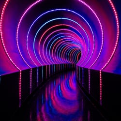 Kiss Kiss Nightclub - Take a trip down the rabbit hole!