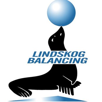 Lindskog Balancing - Dynamic Balancing and Vibration Analysis - Product Design Near Me - Boxborough, Massachusetts